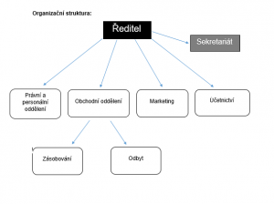 Organizační struktura firmy