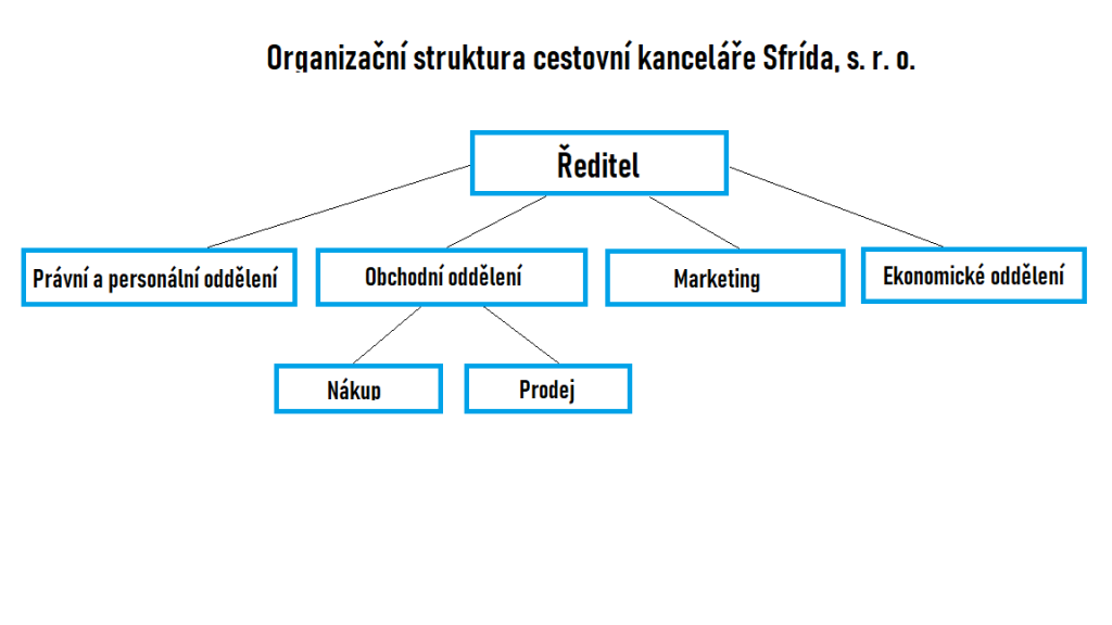 organizační struktura firmy