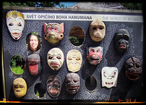 opičí atrakce